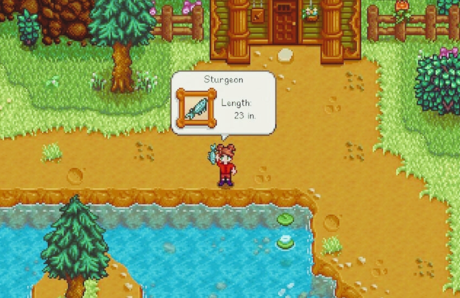 Val fishing in Stardew Valley